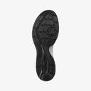 FLUX S1PS LOW